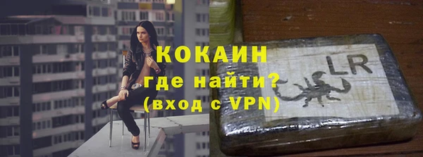 ECSTASY Елизово