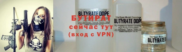 дмт Ельня