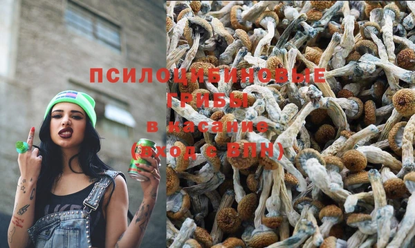 ECSTASY Елизово
