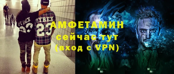 дмт Ельня