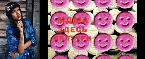 дмт Ельня