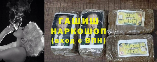 дмт Ельня