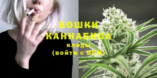дмт Ельня