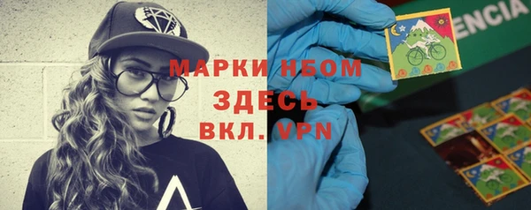 дмт Ельня